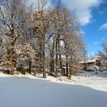 Cal Carol Lejlighed Vallcebre Eksteriør billede