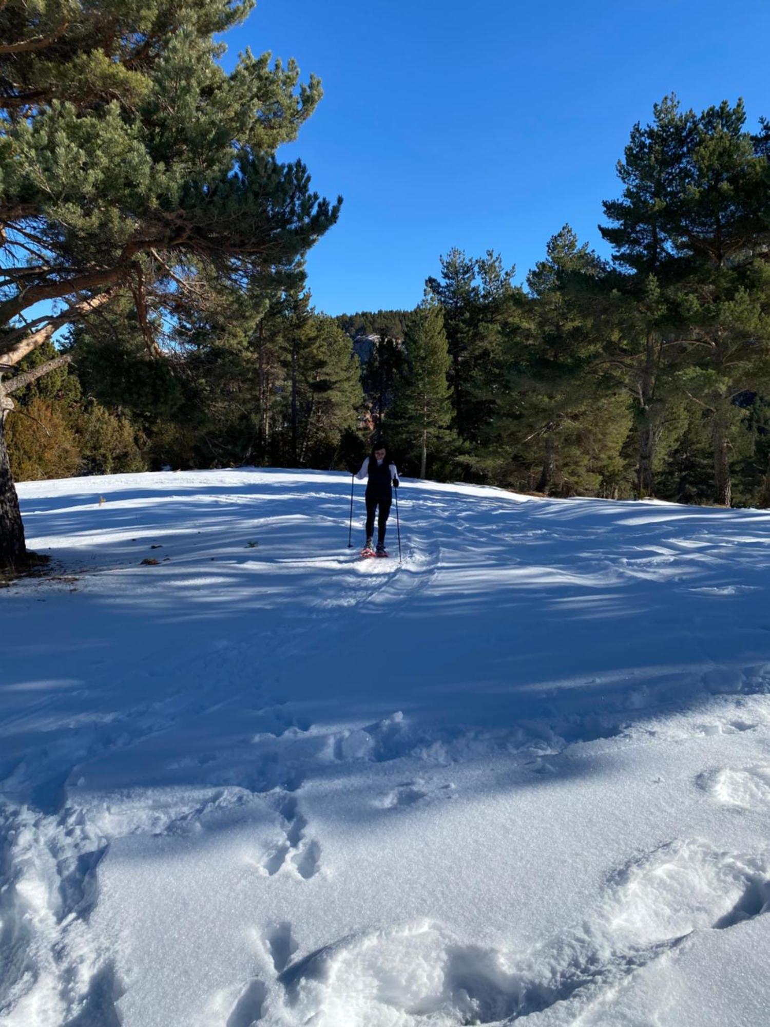 Cal Carol Lejlighed Vallcebre Eksteriør billede