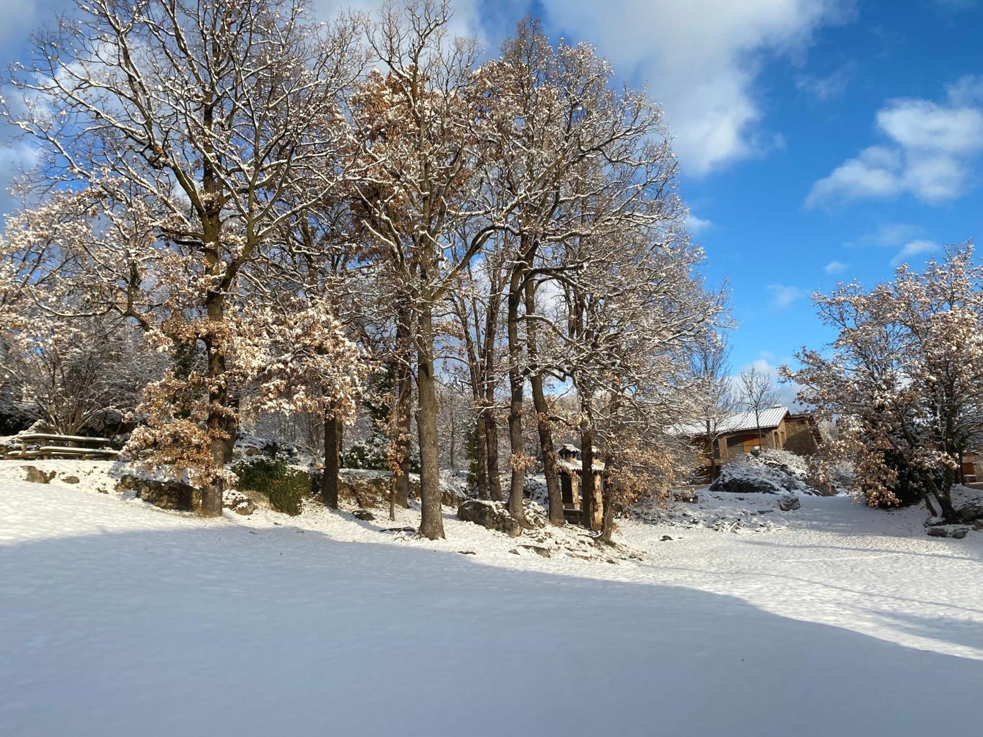 Cal Carol Lejlighed Vallcebre Eksteriør billede