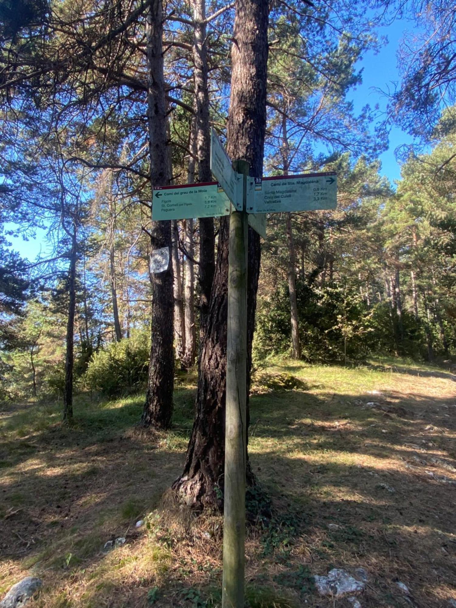 Cal Carol Lejlighed Vallcebre Eksteriør billede
